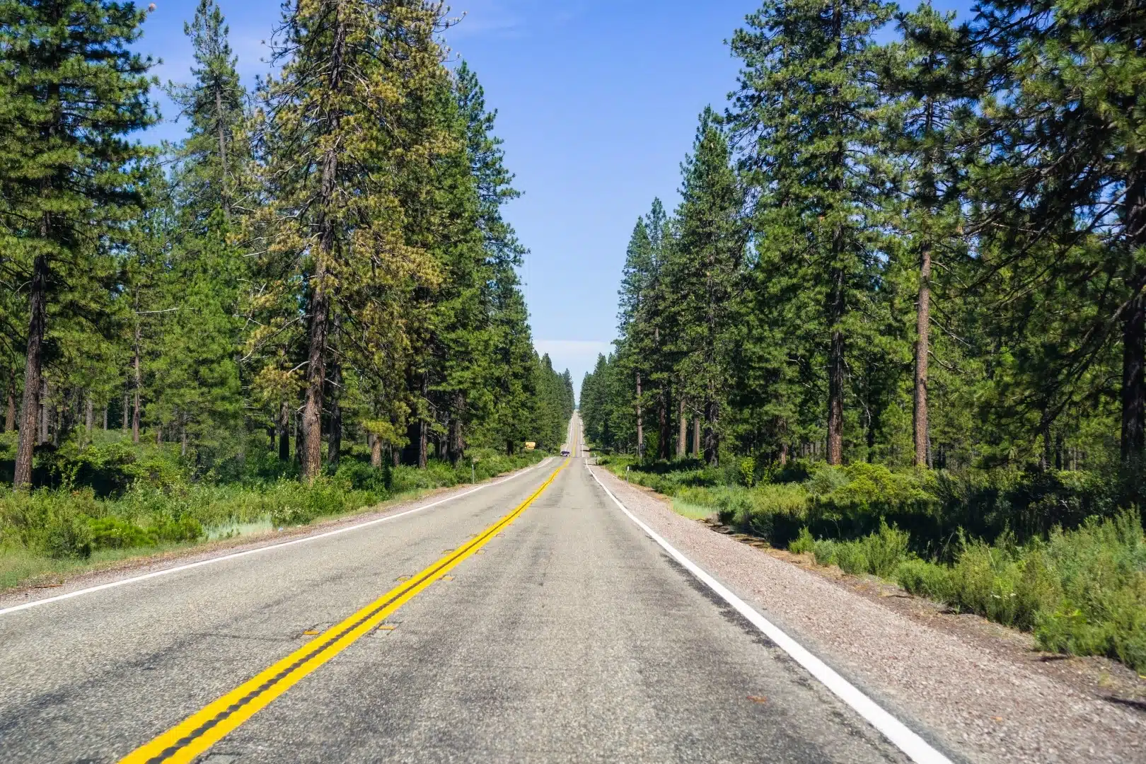 Short Range Transit Plan Final Report – Adopted January 2023